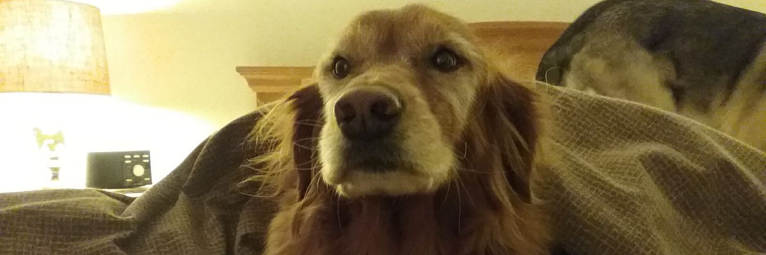 EricDChrist's profile banner image
