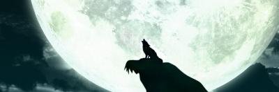 IranVillalobos's profile banner image