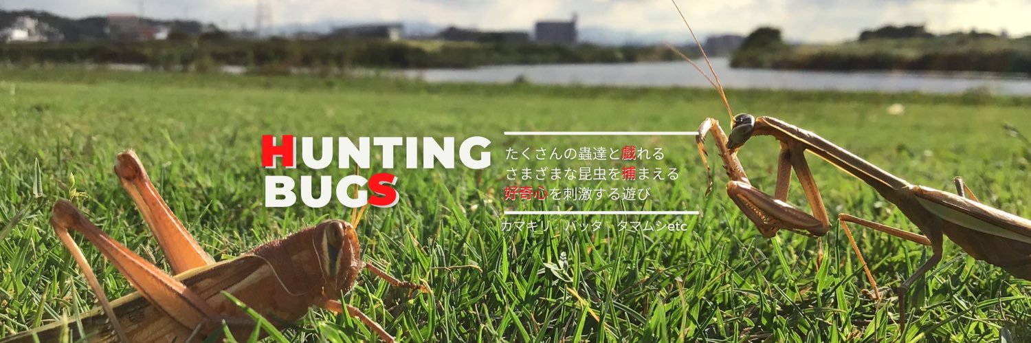 InsecterCatch's profile banner image