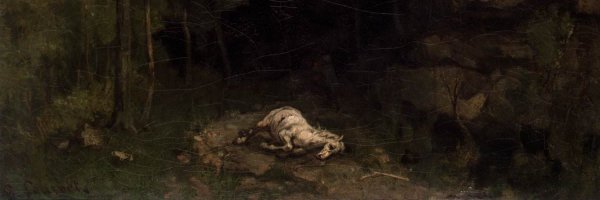 LAlNLAlN Profile Banner