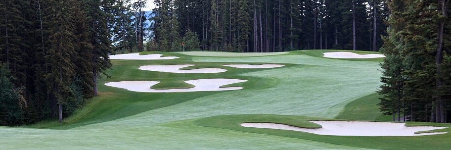 Priddis Greens Turf Care banner