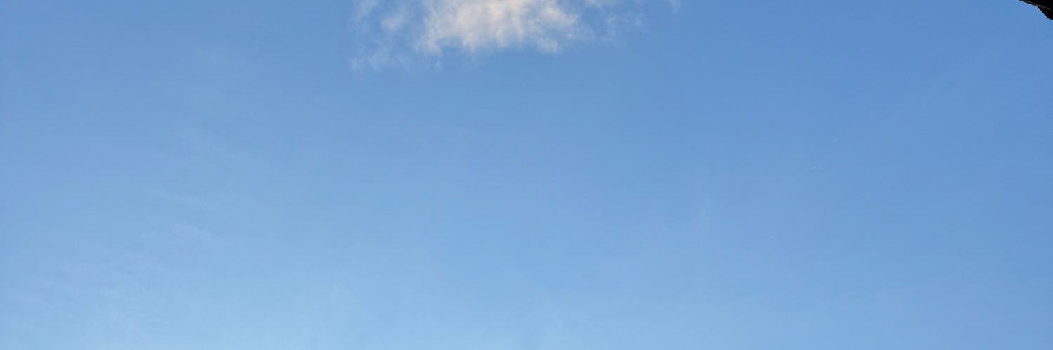 tigerbeo367's profile banner image