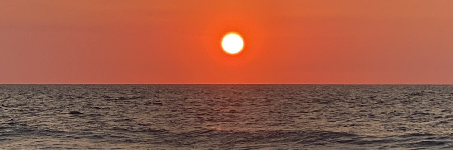 liciadangeline's profile banner image