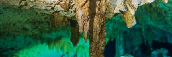 danielz2333 Profile Banner