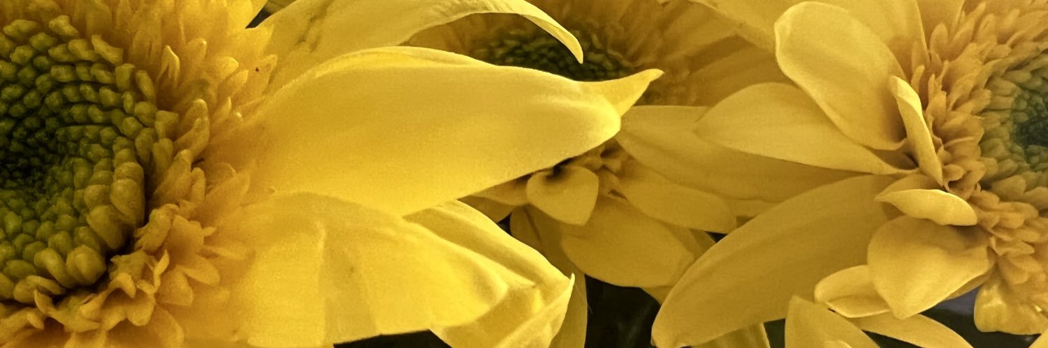 _macsquid's profile banner image