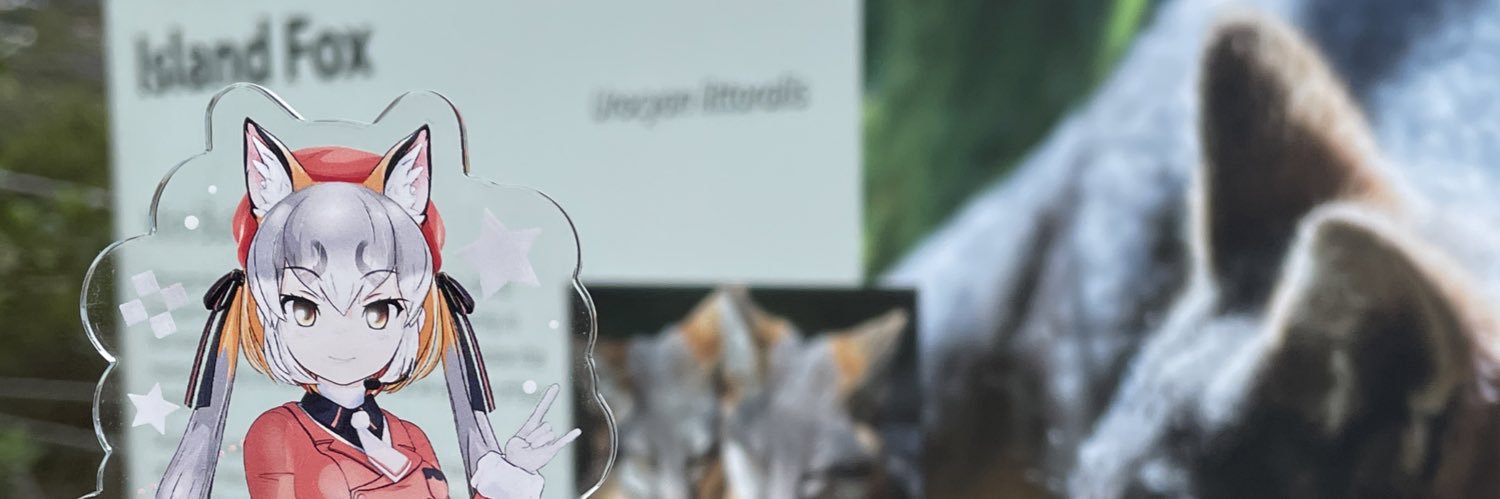 しんしあきと🏝🦊 banner
