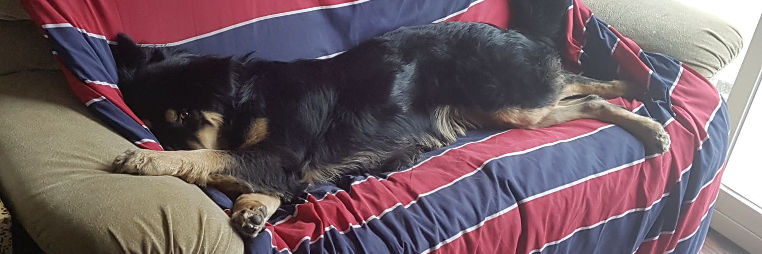 russbyth's profile banner image