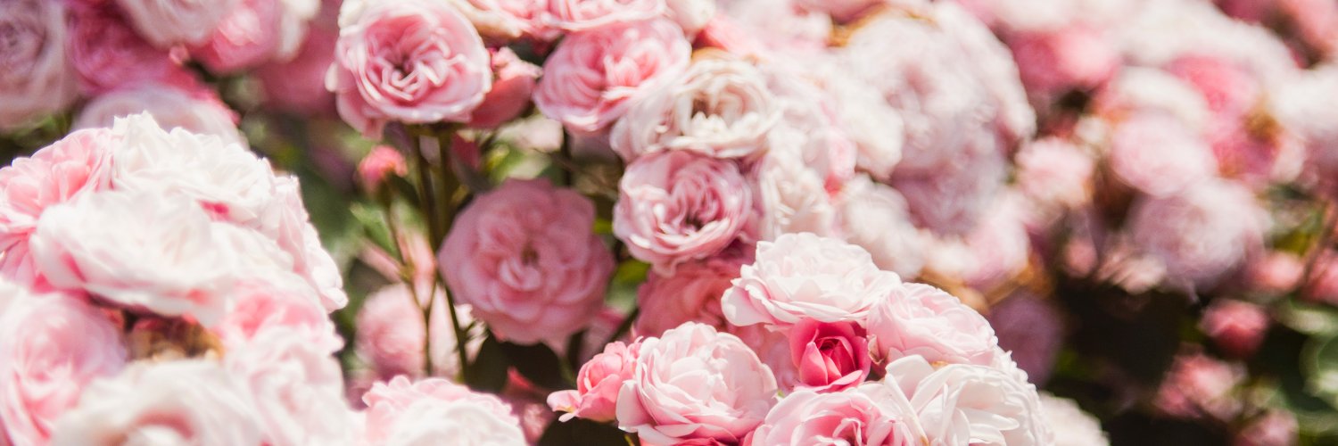 Rose Colored Glasses banner