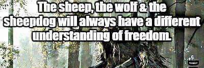 MichaelLankford's profile banner image