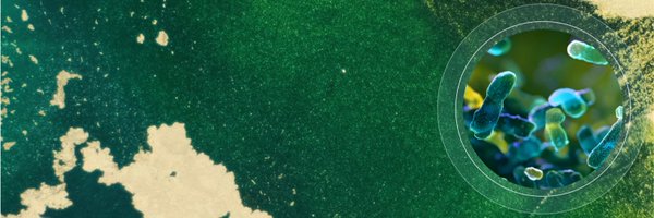 bit_Biome Profile Banner