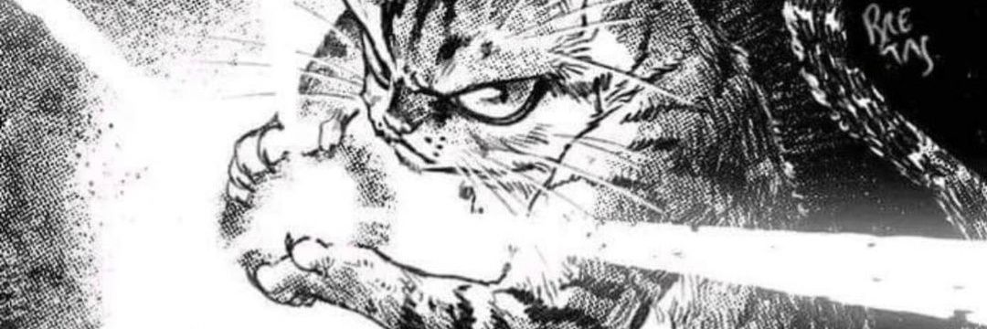 davidfe_COL's profile banner image