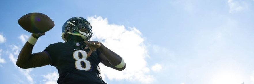 Mary - Pick Up Lotus, Subtle Smile banner