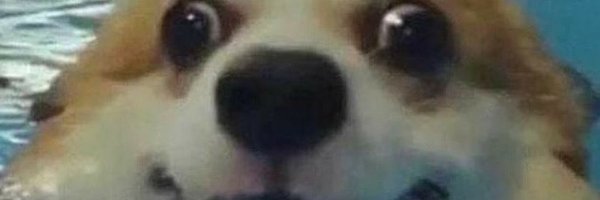 _Kalanaaa Profile Banner