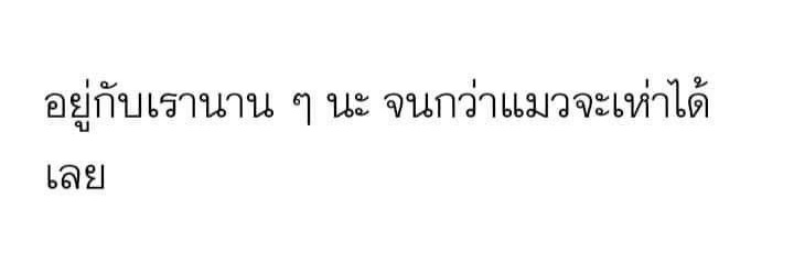 y banner