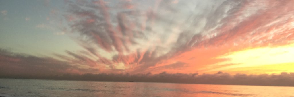 DolcceR's profile banner image