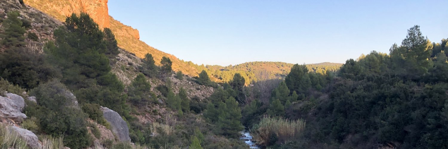 BryanLineweaver's profile banner image