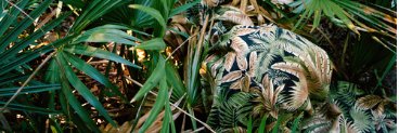 perroperrazo1's profile banner image