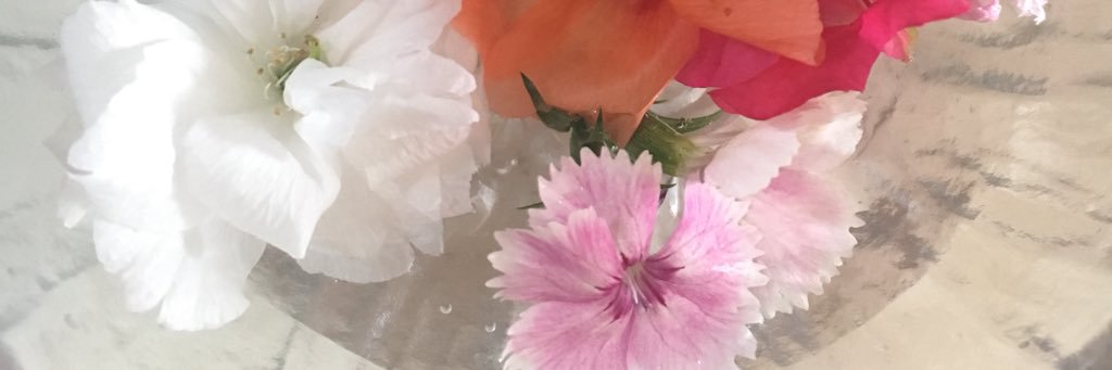 Yu_u_k's profile banner image