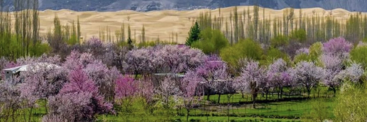 Raja Nasir Ali Khan banner