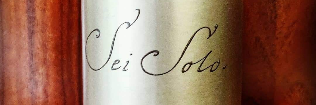 Sei Solo Bodegas y Viñedos SL. banner