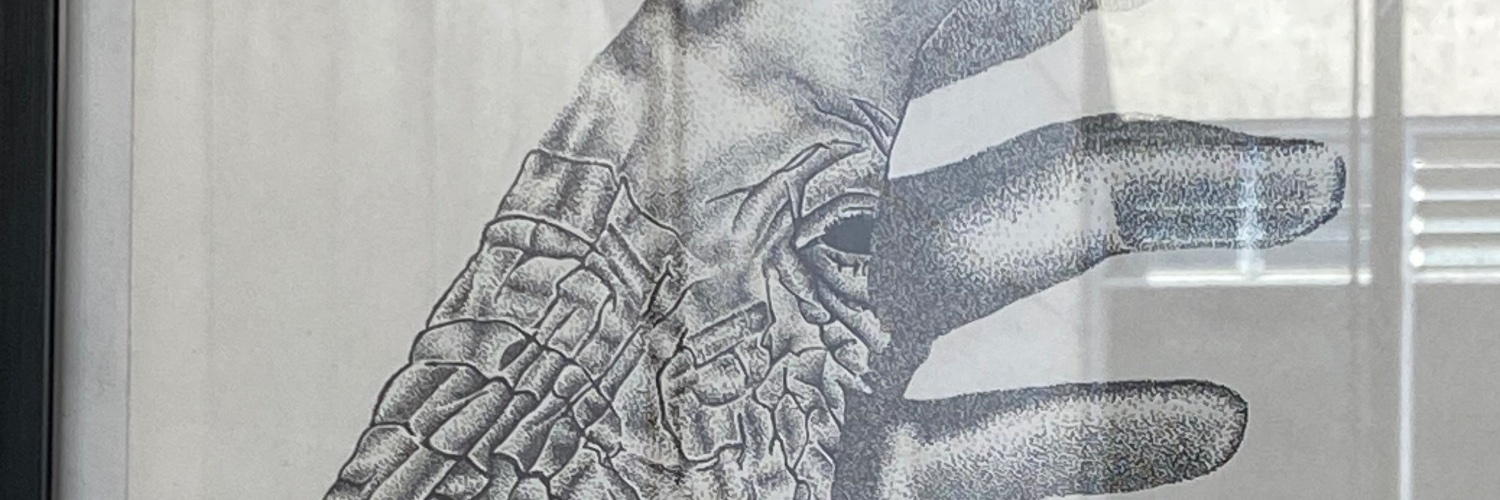 ChitenguFadzai's profile banner image