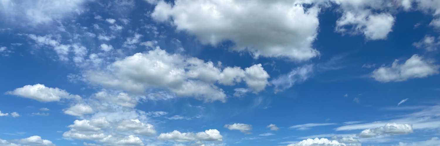 さめこうもり banner