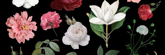 NaraVidal74's profile banner image