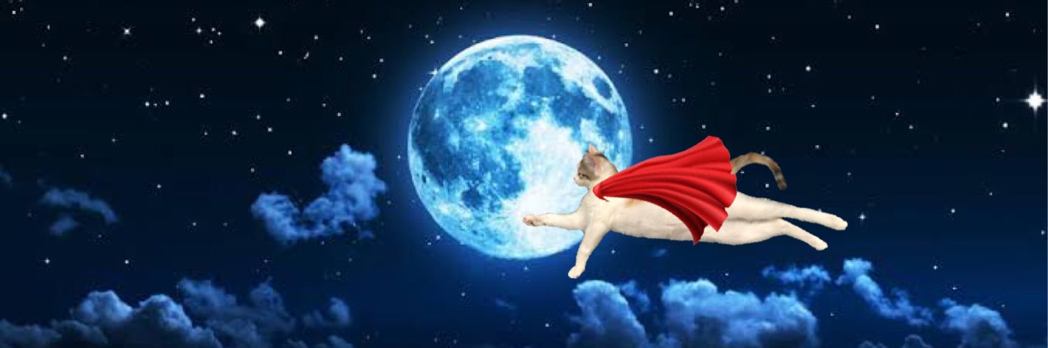 MNC7cats's profile banner image