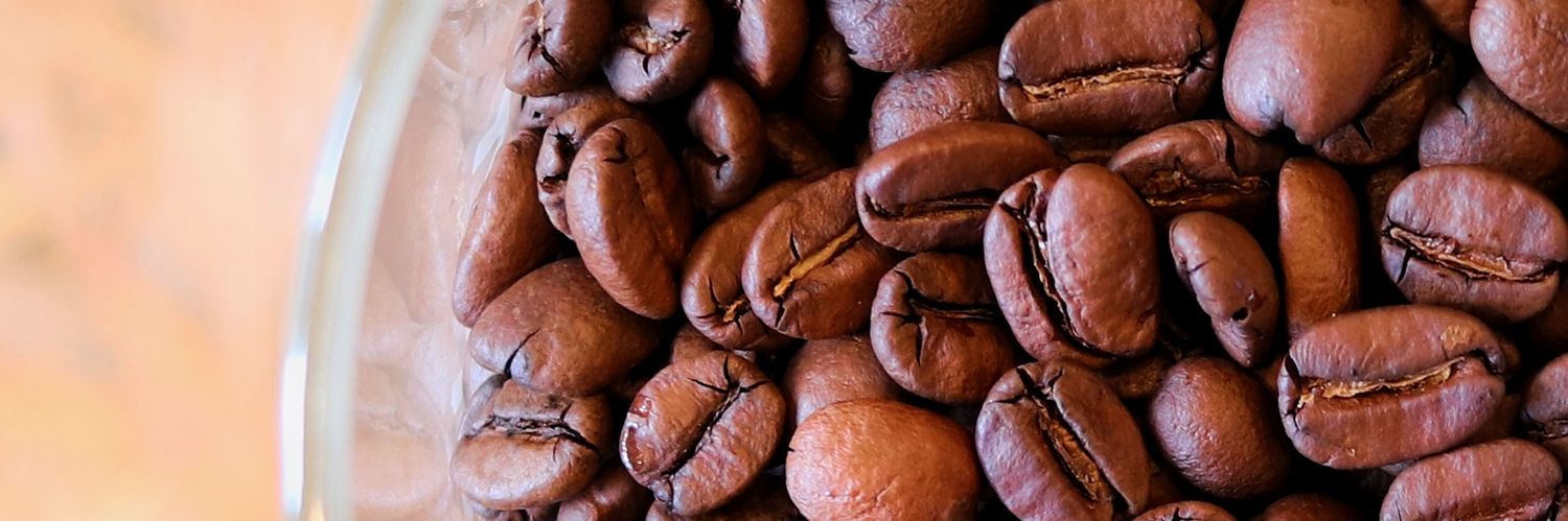 𝗧𝗮𝗸𝘂𝗺𝗶 banner