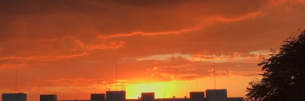 paulista Profile Banner