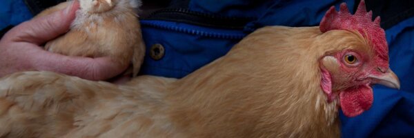 LyandaHaupt Profile Banner