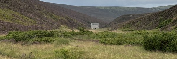 RuveydaCelenk Profile Banner