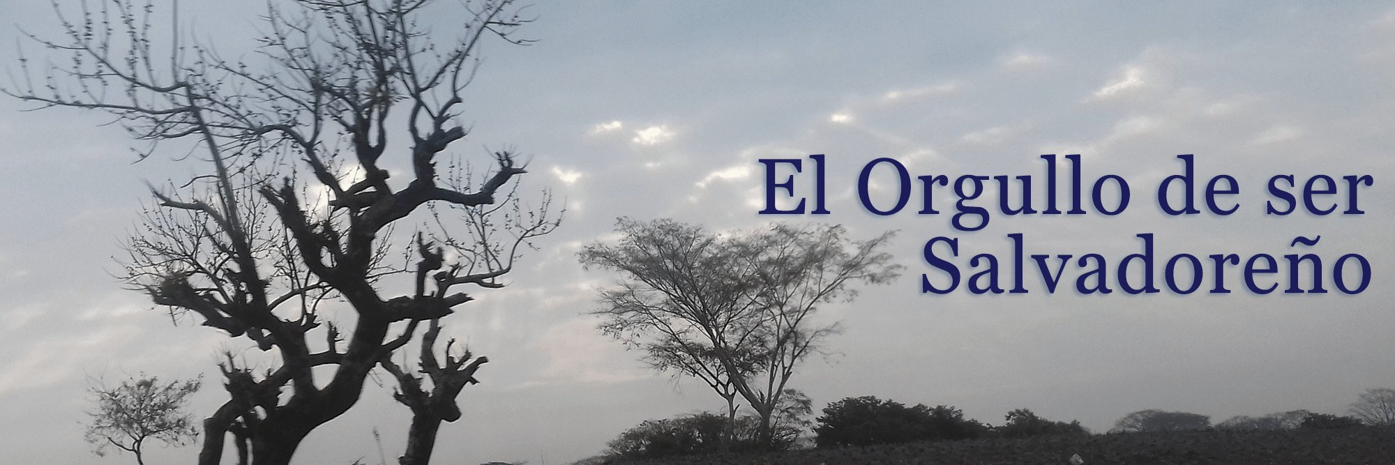 Arturo Mendez Azahar banner