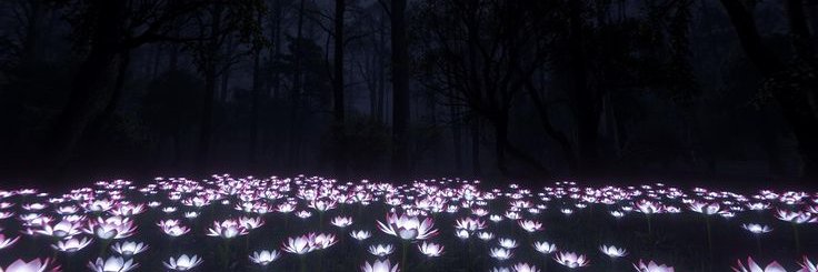 Estelle_Novua's profile banner image