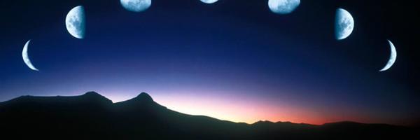 gnom1d3e Profile Banner