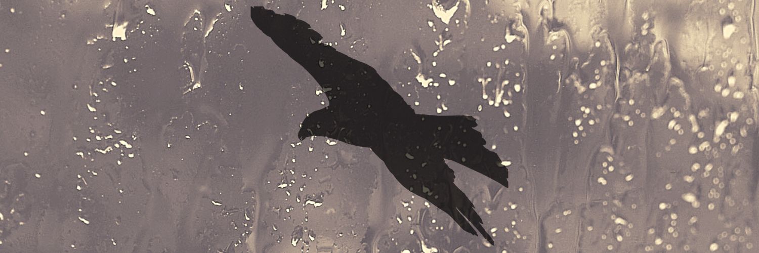 SimplyLoveBirds's profile banner image