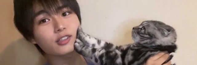 yurilml's profile banner image