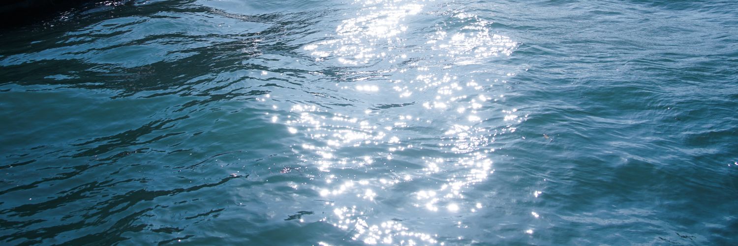 정다민📸 banner