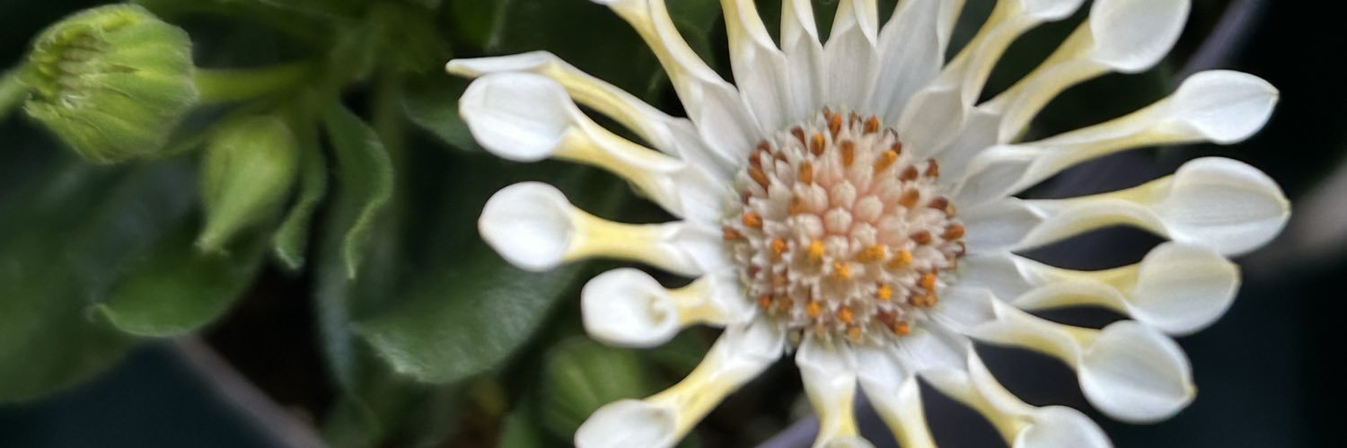 awaya@原稿ﾏﾝ banner