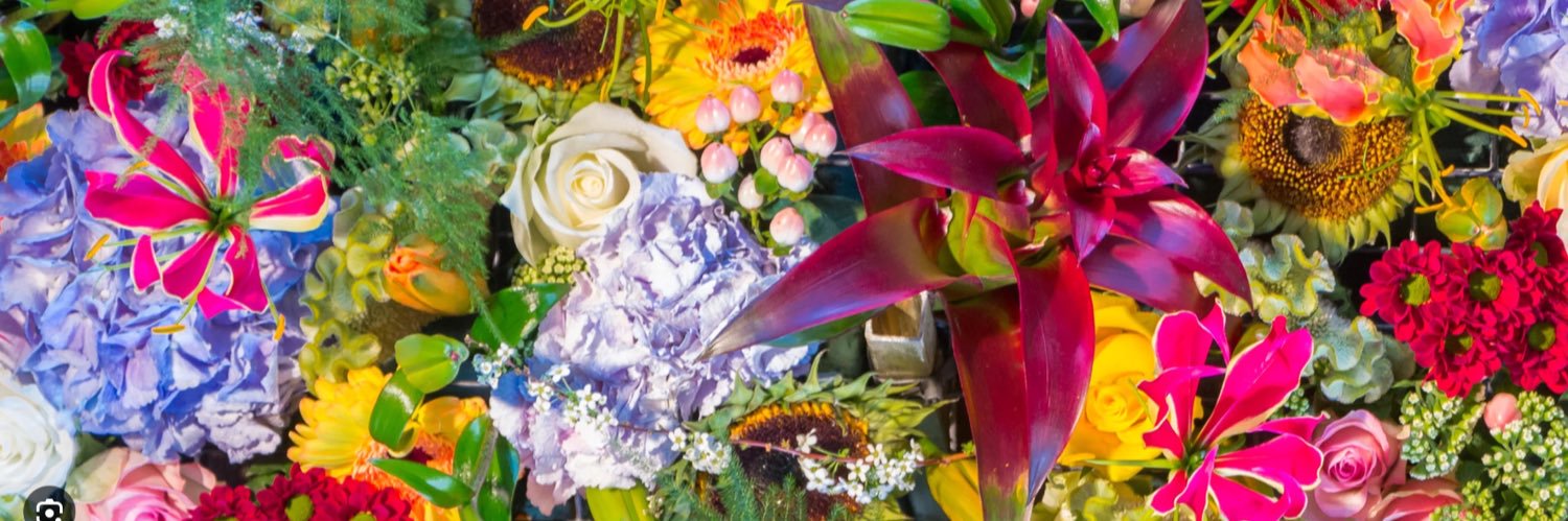 xDebra Gordon 🧡❤️ banner