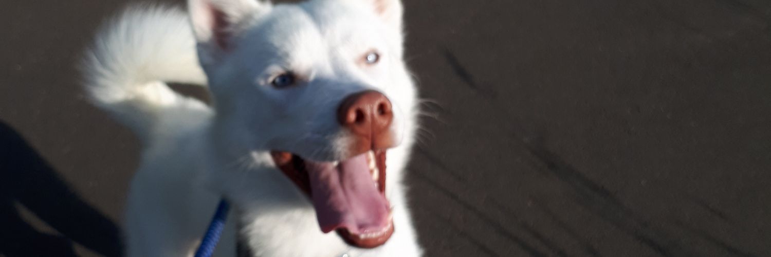 CaptainChancla's profile banner image