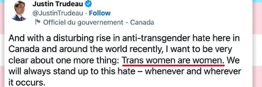 BirdsNest🇨🇦 banner