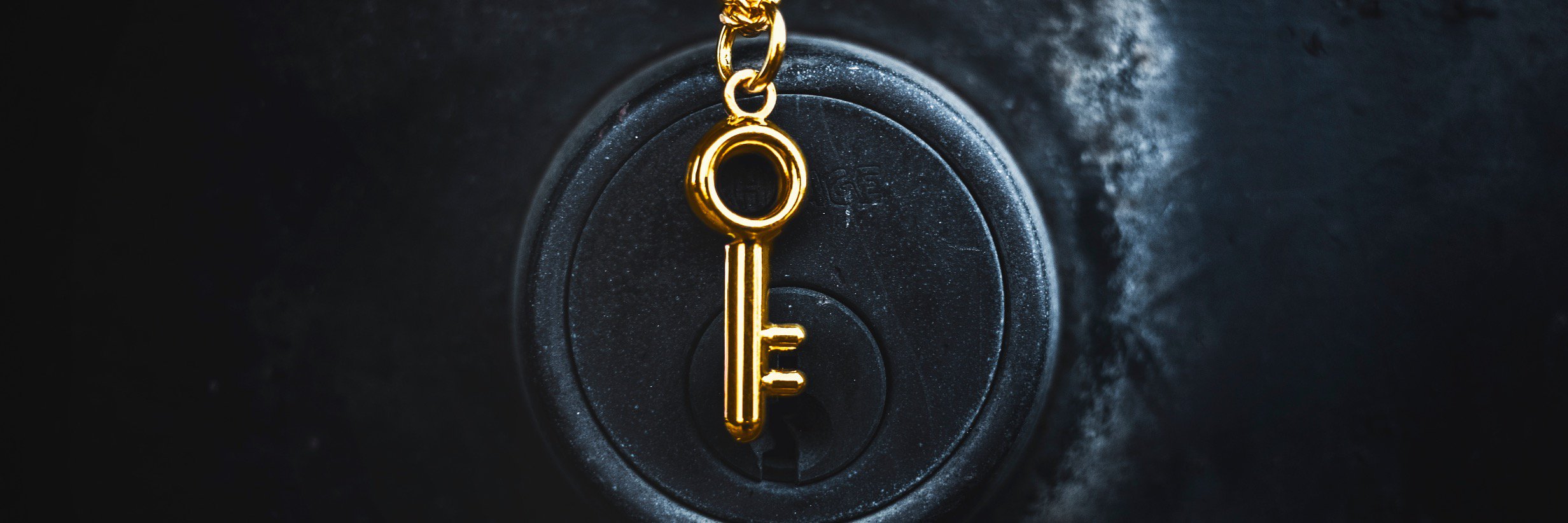 FadaviAndCo's profile banner image