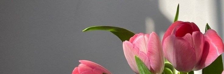 melvypuspita's profile banner image