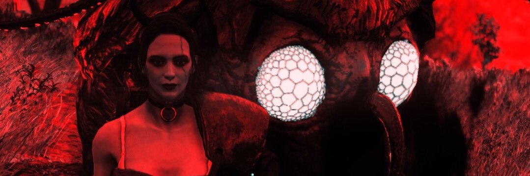 🦇Voidy🦇 banner