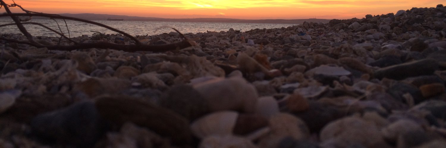 TbkCAT's profile banner image