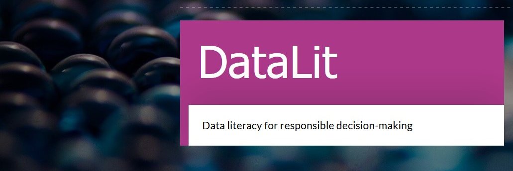 DataLit banner