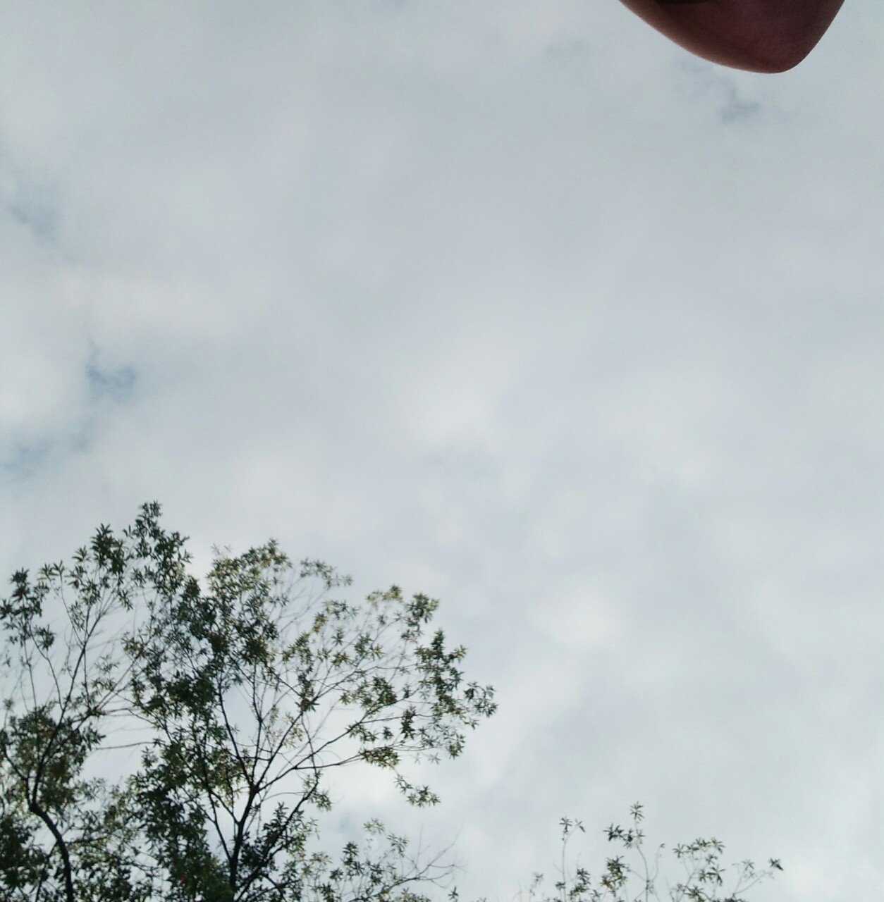 rinaa_eff's profile banner image