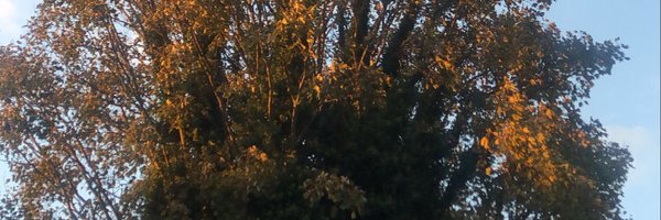 aidanwyldbore Profile Banner