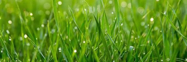 rob107227 Profile Banner